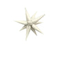 Exploding Foil Balloon Star Point