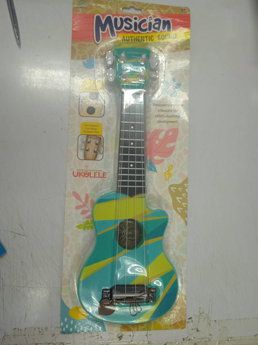 Guitar musician