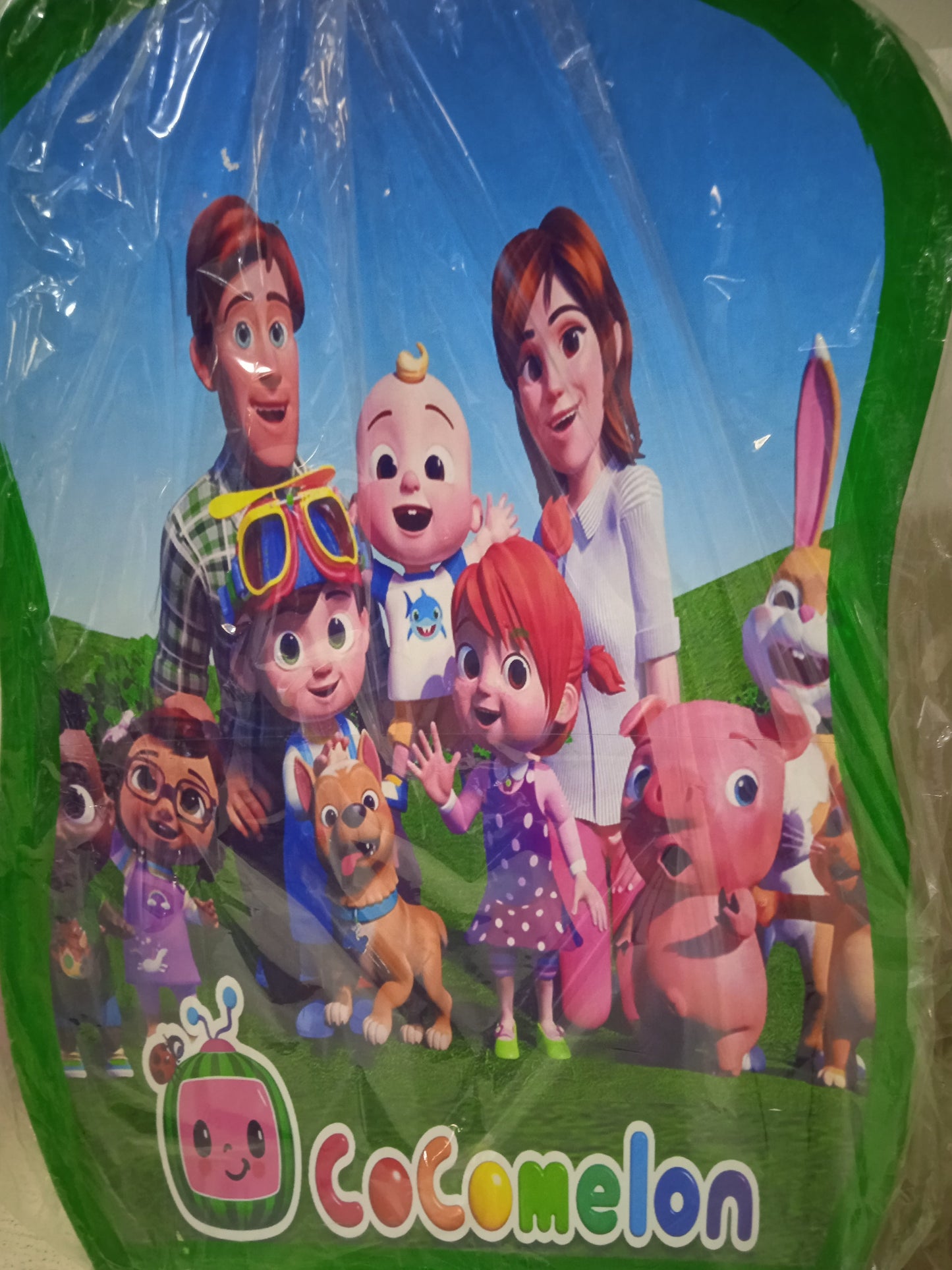 Piñata Small