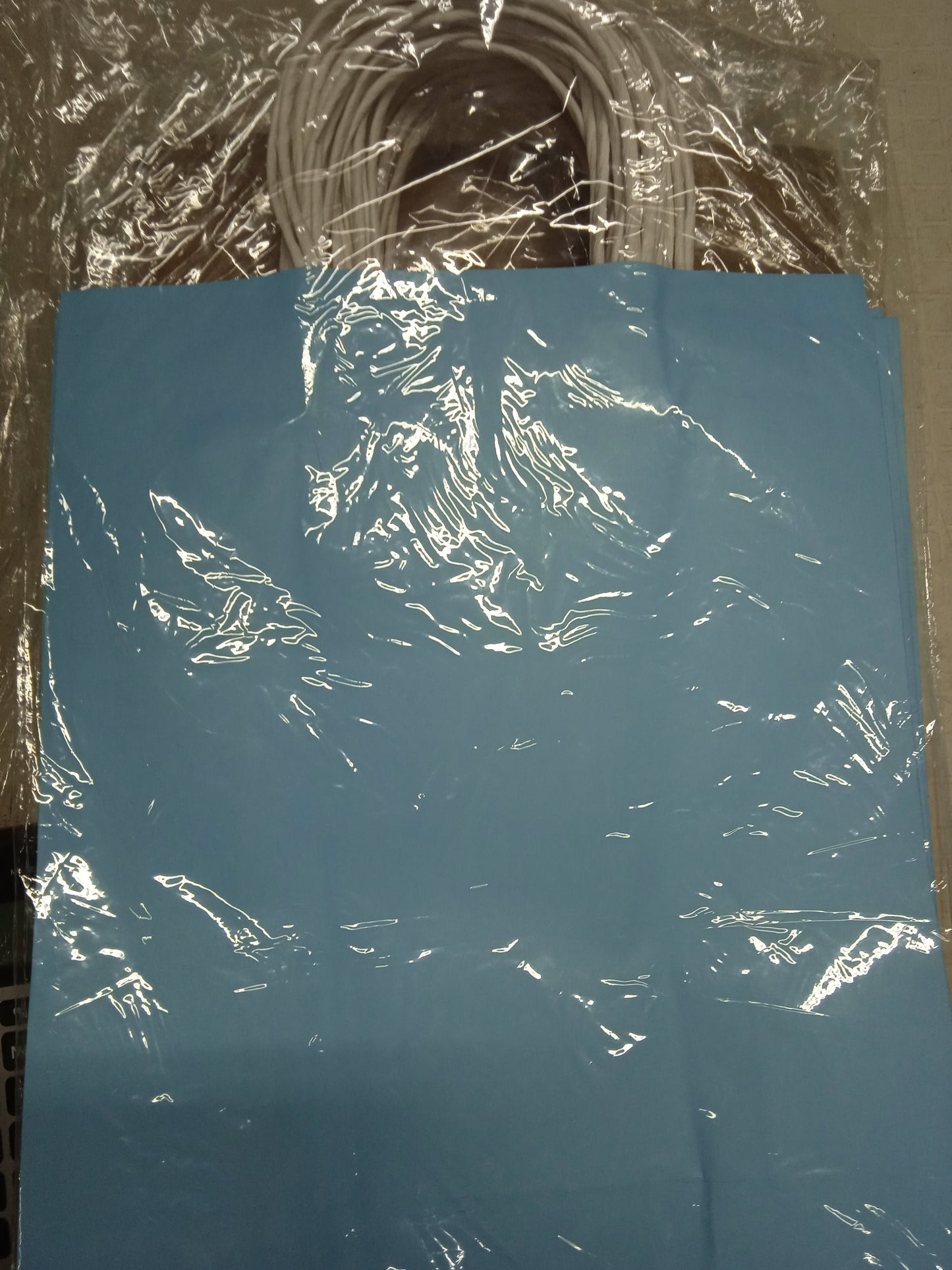 Paper Bag Plain