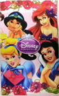 Kiddie Bag without Handle Disney Princess