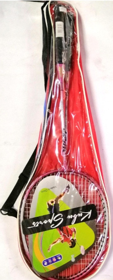 Sport Badminton