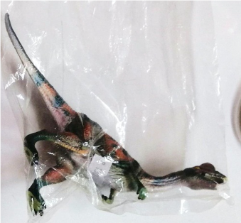 Dinosaur Display