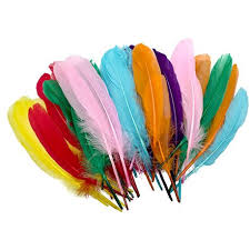 Feathers Colorful