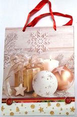 Paper Bag with Different Design