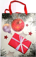 Paper Bag with Different Design