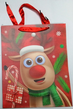 Paper Bag with Different Design