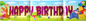 Banner Long