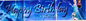 Banner Long