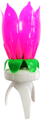 Candle Bright Musical Blossom
