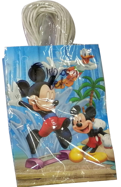 Paper Bag for Boys