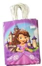 Paper Bag for Girls