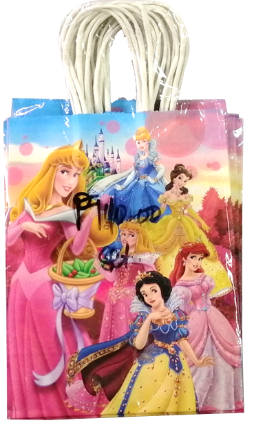 Paper Bag for Girls