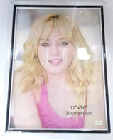 Picture Frame Big